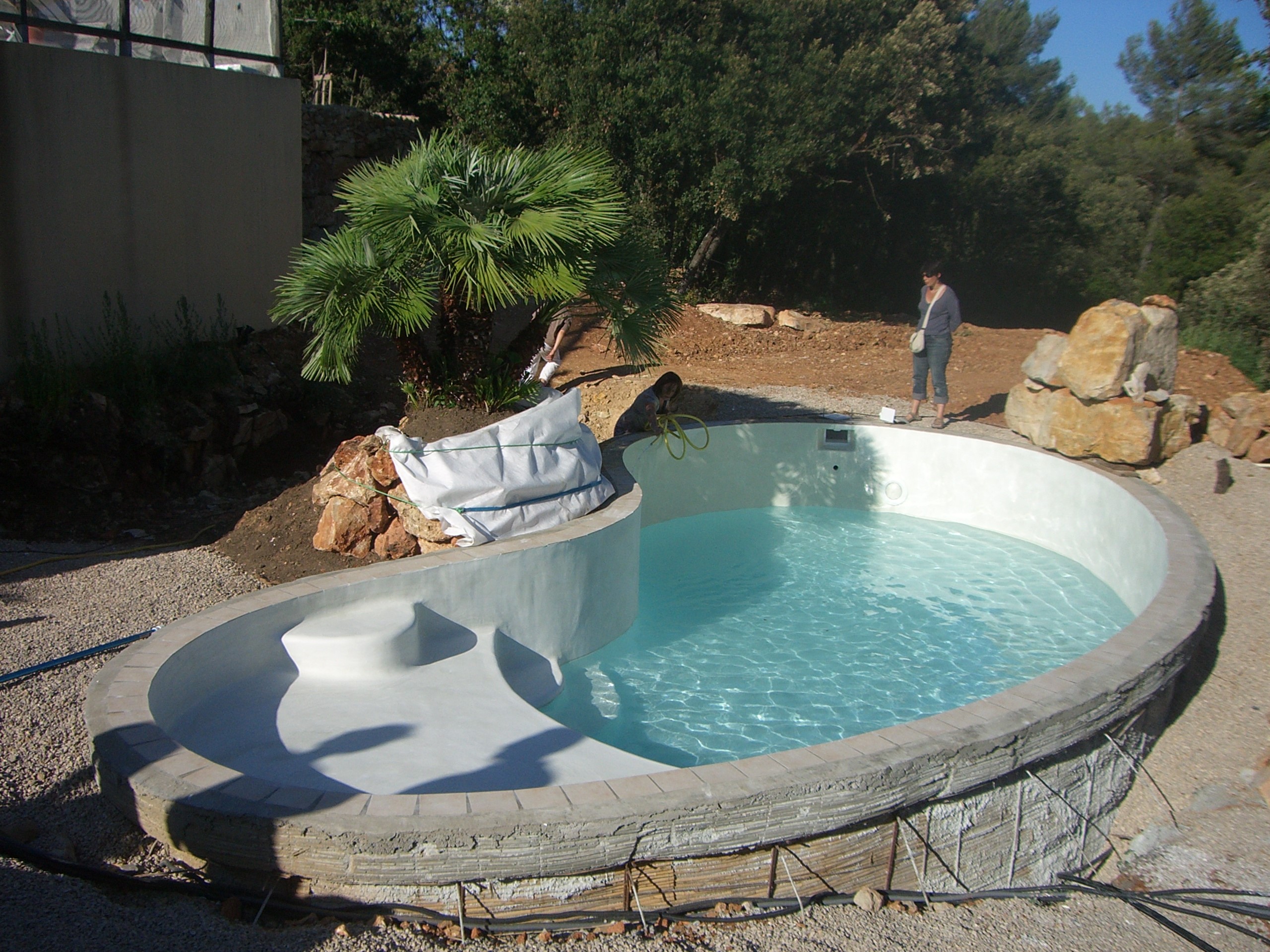 ESTP Terrassement - Aménagements d’une piscine avec : . Un palmier . Une cascade . Un chemin d’accès du pool house au local technique